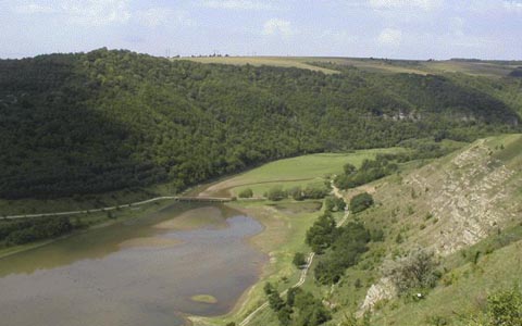 ��� ������� �������������� ���������� �  �������� ������ �������� �. �������