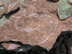 ��������� �������� � ���������� ��������