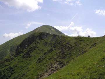 ������� 2010 - 1 �����  62 �������� �  4 ����������