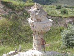 Sydementology selection