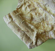 Cruziana, ���������� ����� �������� ����������