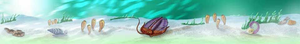 �������� � �������� ���� �������� �������������, �� �� ������ �������� ��� ����� ������������� �������� ����� ���