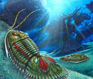 ������ ������� �� ���� ���������� ����������, �� ������������ �� ����� ����