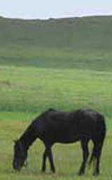 ���� � ��� �������� � ��������� ������ �� �������