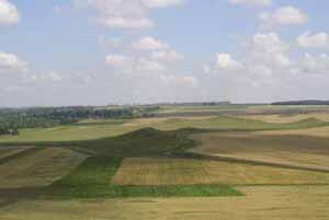 ������ ������