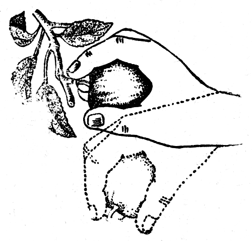 ���. 37. ��������� ����� �� ����� 