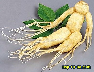 ������������ �������