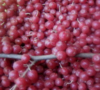 ����� � ����� �������� ������ � ������ ����, ���������� ������� ���� � �����.