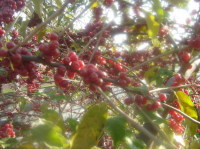 � ��� �� ��� ��� ��������� � �������, �� �� ������� ���������� ������� ��: ��������� ������ �������. 