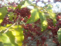 ����� ��� ���� ����������� �� � ������ ���� � �����, ������ ��� �� ����� ����� ��������� �� ������ � ������� ���� ����. 