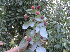 ������ � �����