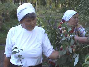 ������ � �������� ����