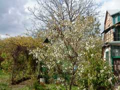 ����� � ����