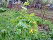 ��������� ���������