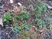 �������� �� ������