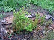 ������� �� ������