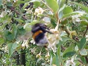 ����� �� ���