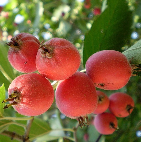 ���  ������������