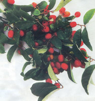 ����������� ������