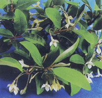 ���� � �����