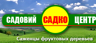 �������� ��������, ����, ������ ������������ ������ (������� �������, ����������� �����, ���� �������)