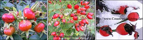 �� ������� �� ������ �������� ����� � ����� � � ���� �����