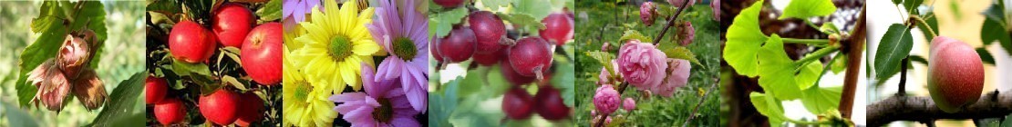 �������� ������� 