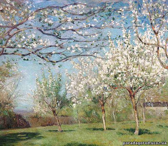 ������� ������ � ����