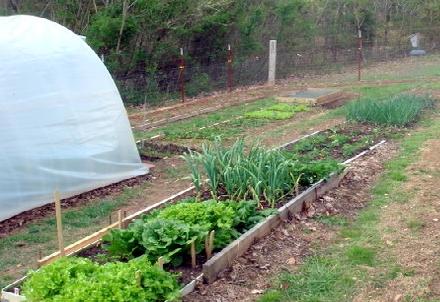 �������� ��������-��������� 