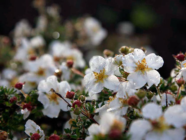 ����������� �������� � ����