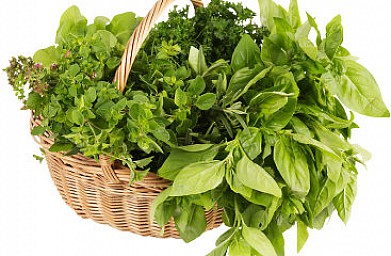 ����� �����