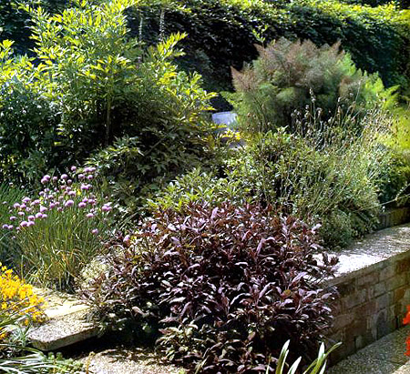 г��� ����� � ����