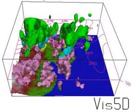 �������� ���� 