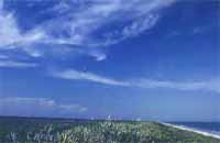 ϳ�'���  �����