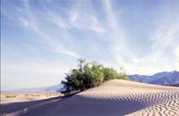 ϳ�'���  �����