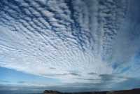 ������-������� ����� Altocumulus radiatus