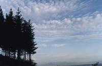 ������-������� ����� 