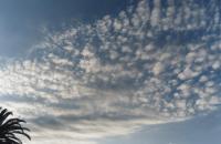 ������-������� ����� Altocumulus