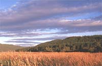 ������-������� ����� (altostratus)