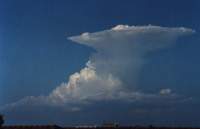 ������� ������ ������ (cumulus congestus)