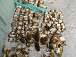 ������� � ������� 2004 � �����