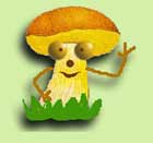 ������� �������� �� ������