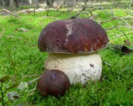 �� � ������ ����� � �� ����� ������� �����