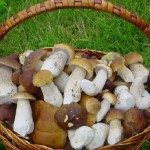 ������� �����