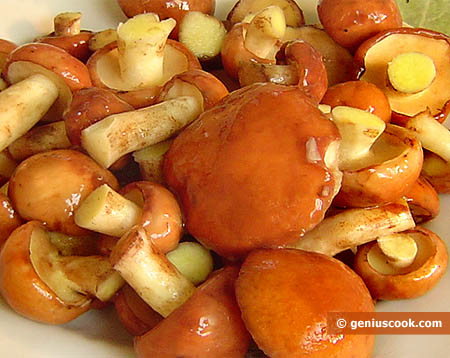 ������� ��� ���������