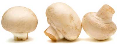 ������, �����������, ����� �����