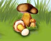 ����� ��� ��� �����