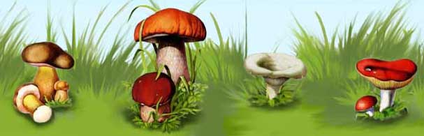 ��� ��� ���� �����