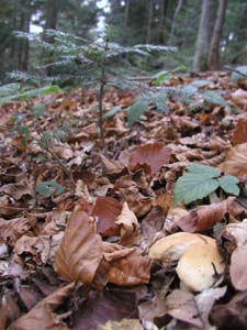 ���������� �� ������ � ��������