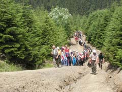 �������� - �������� �������� �������